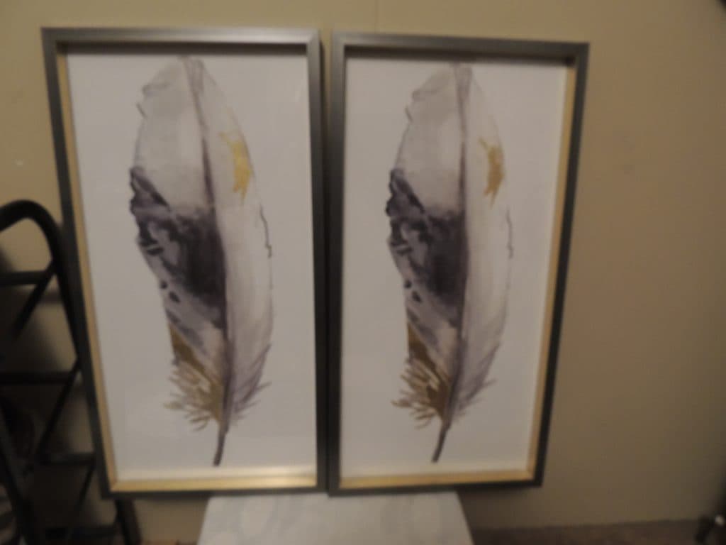 Feather Pictures