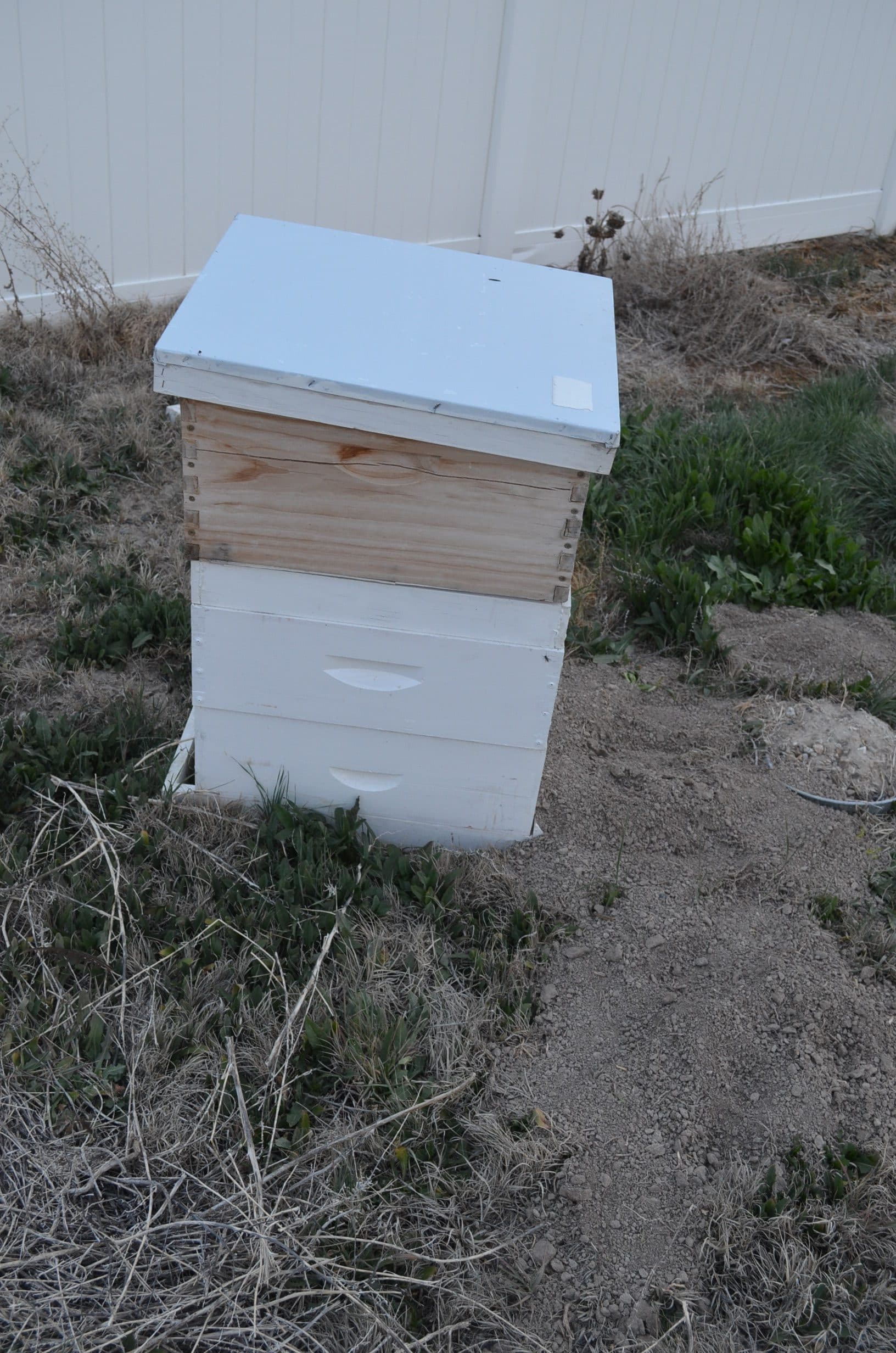 New in box beehive plus used beehive