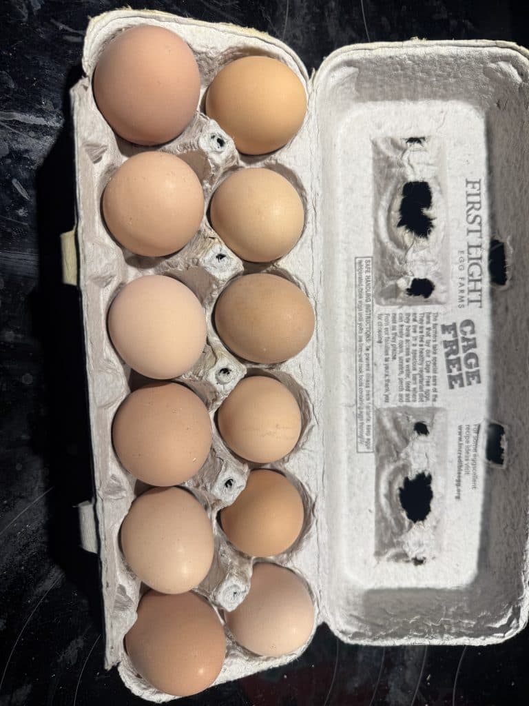 Farm fresh eggs!