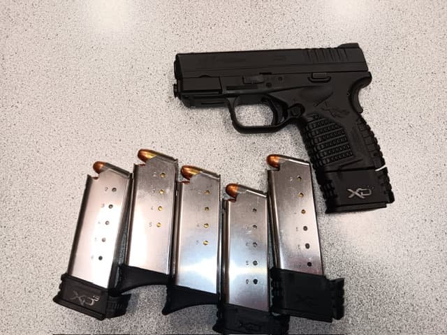 Springfield xds 45