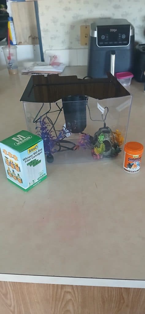 Fish tank