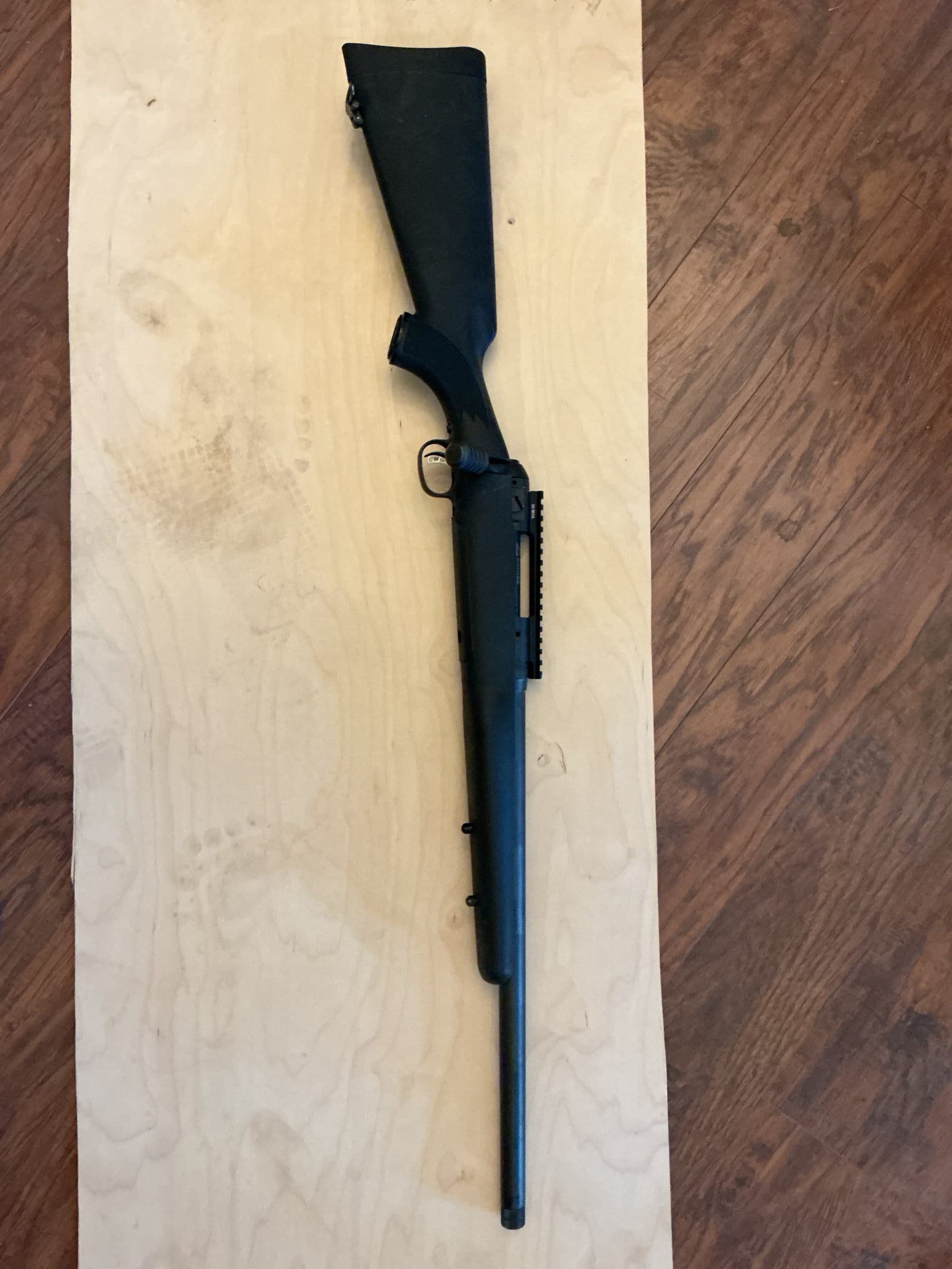 Savage model 10 .308