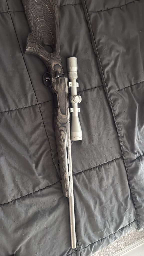 Savage 17bmag