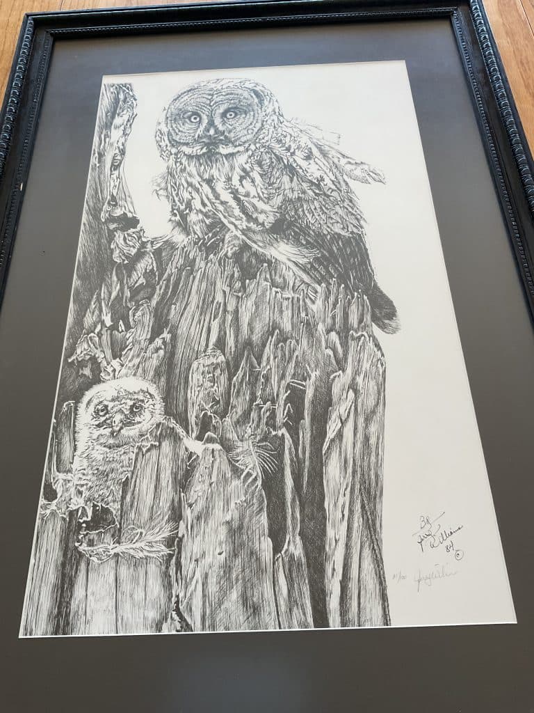 Pencil drawing.