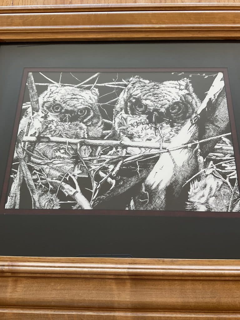 Framed drawing
