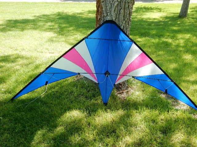 Wind Toys Cheetah delta stunt kite bundle